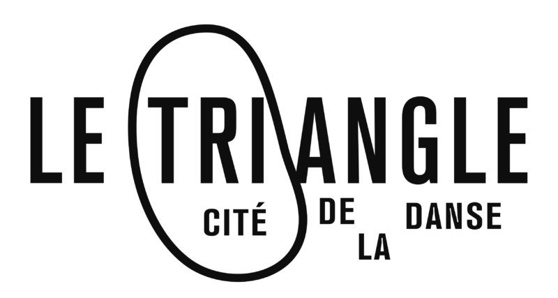 Le Triangle, Cité de la danse